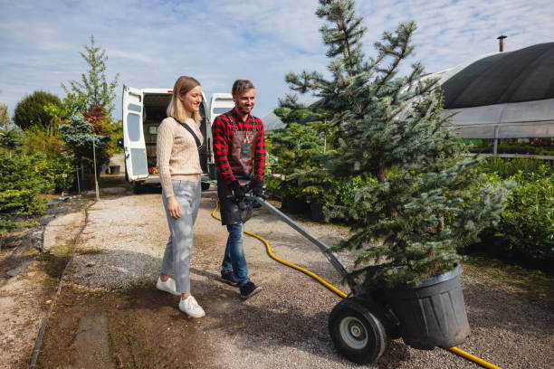 Riner, VA Tree Service Company